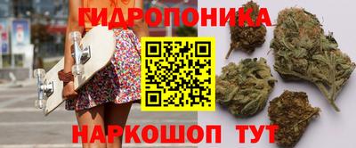 прущие грибы Пушкино